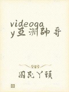 videogay亚洲帅哥