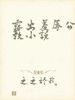 露出羞辱公开调教小说