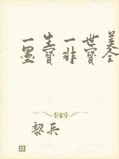 一生一世美人骨墨宝非宝全本阅读