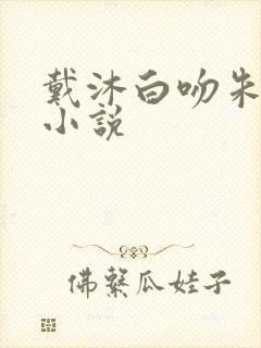戴沐白吻朱竹清小说