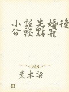 小说先婚后爱老公轻点宠