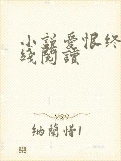 小说爱恨终散在线阅读封面