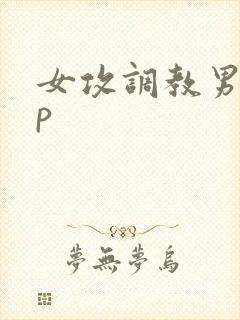 女攻调教男奴np
