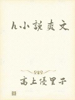 h小说爽文