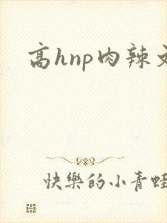 高hnp肉辣文