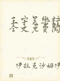 王宇吴乐柠小说全文免费阅读最新章