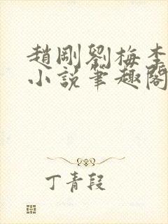 赵刚刘梅李晓雅小说笔趣阁