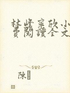 林峰宁欣小说免费阅读全文最新章节宁饮