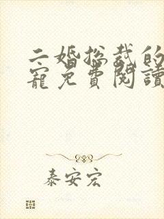 二婚总裁的心尖宠免费阅读全文