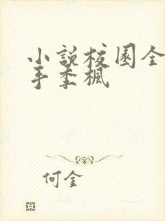 小说校园全能高手季枫