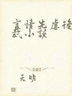 言情先虐后甜总裁小说封面