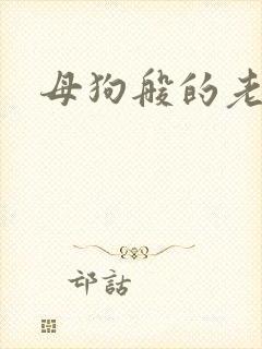 母狗般的老师封面