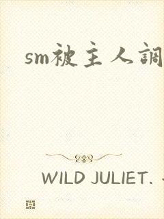 sm被主人调教