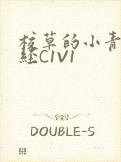 校草的小青梅不经C1V1
