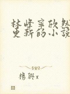 林峰宁欣然超前更新的小说封面