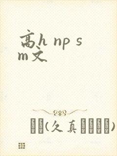 高h np sm文