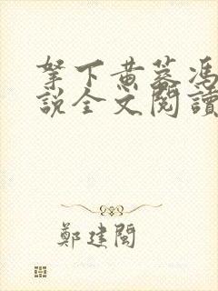 拿下黄蓉冯蘅小说全文阅读