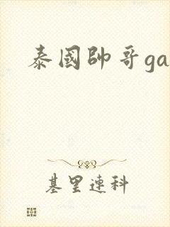 泰国帅哥gay