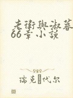 老卫与淑蓉全集66章小说