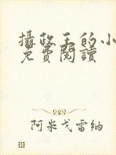 摄政王的小殿下免费阅读