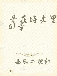 爱在时光里流转61章