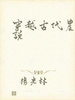穿越古代农家小说