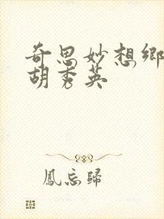 奇思妙想乡村情胡秀英