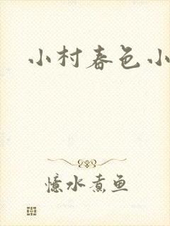 小村春色小说