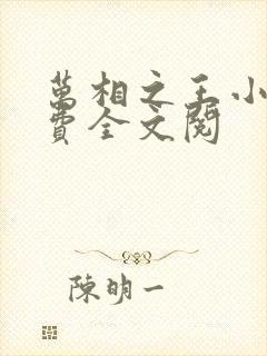 万相之王小说免费全文阅