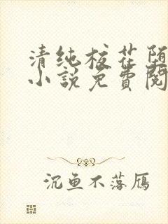 清纯校花堕落记小说免费阅读