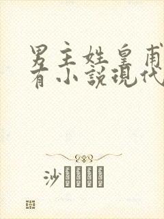 男主姓皇甫的所有小说现代言情