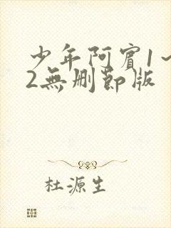 少年阿宾1～72无删节版