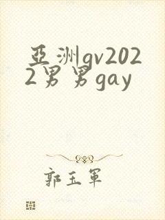 亚洲gv2022男男gay