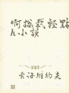 啊总裁轻点奶头h小说