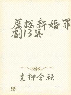 厉总新婚罪妻短剧13集