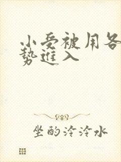 小受被用各种姿势进入