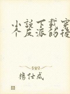 小说下载穿成五个反派的后娘封面