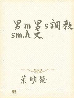 男m男s调教(sm,h文
