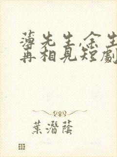 薄先生,余生不再相见短剧