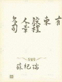多人股东有限公司章程