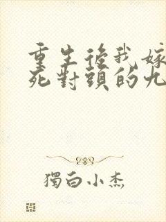 重生后我嫁给了死对头的九叔