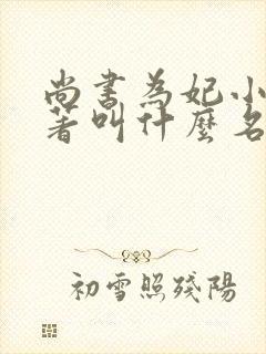 尚书为妃小说原著叫什么名字