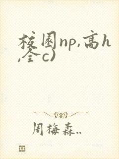 校园np,高h,全c)