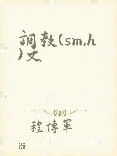 调教(sm,h)文封面