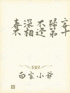 春深不归客清梦不相逢第十章