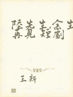 陆先生,余生不再见 短剧