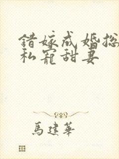 错嫁成婚总裁的私宠甜妻