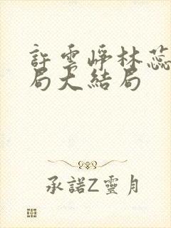 许云峥林蕊思结局大结局