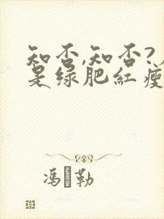 知否,知否?应是绿肥红瘦原著小说