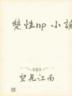 双性np 小说